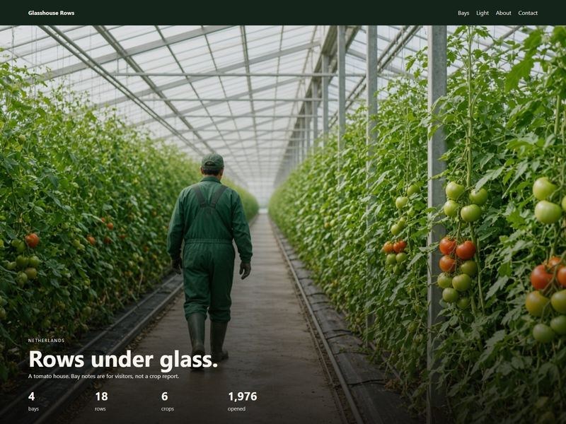 glasshouse 网站模板