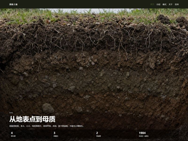 剖面土壤