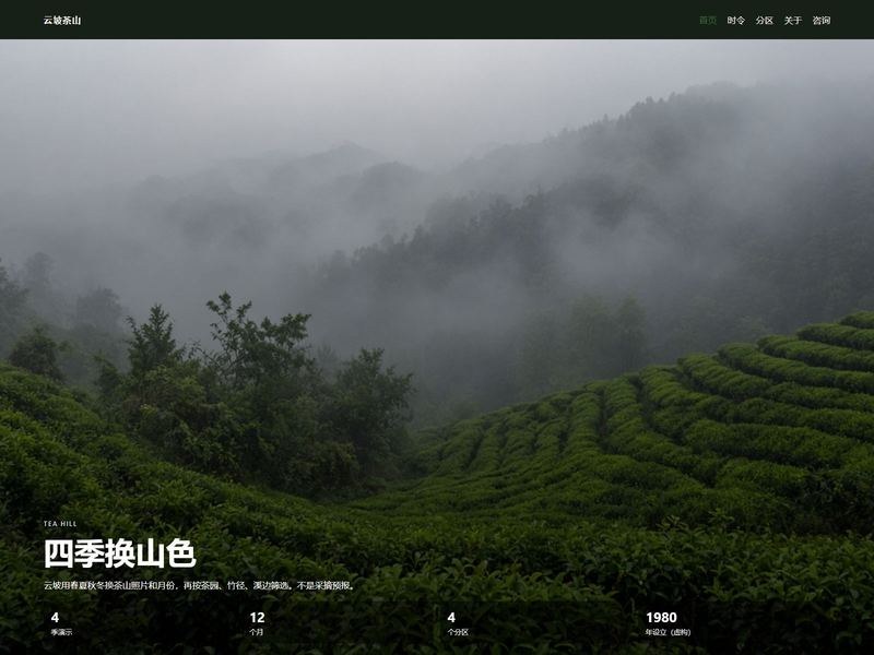 云坡茶山
