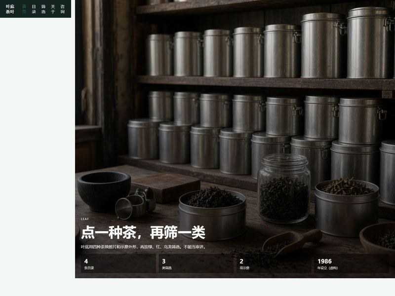 叶底茶叶